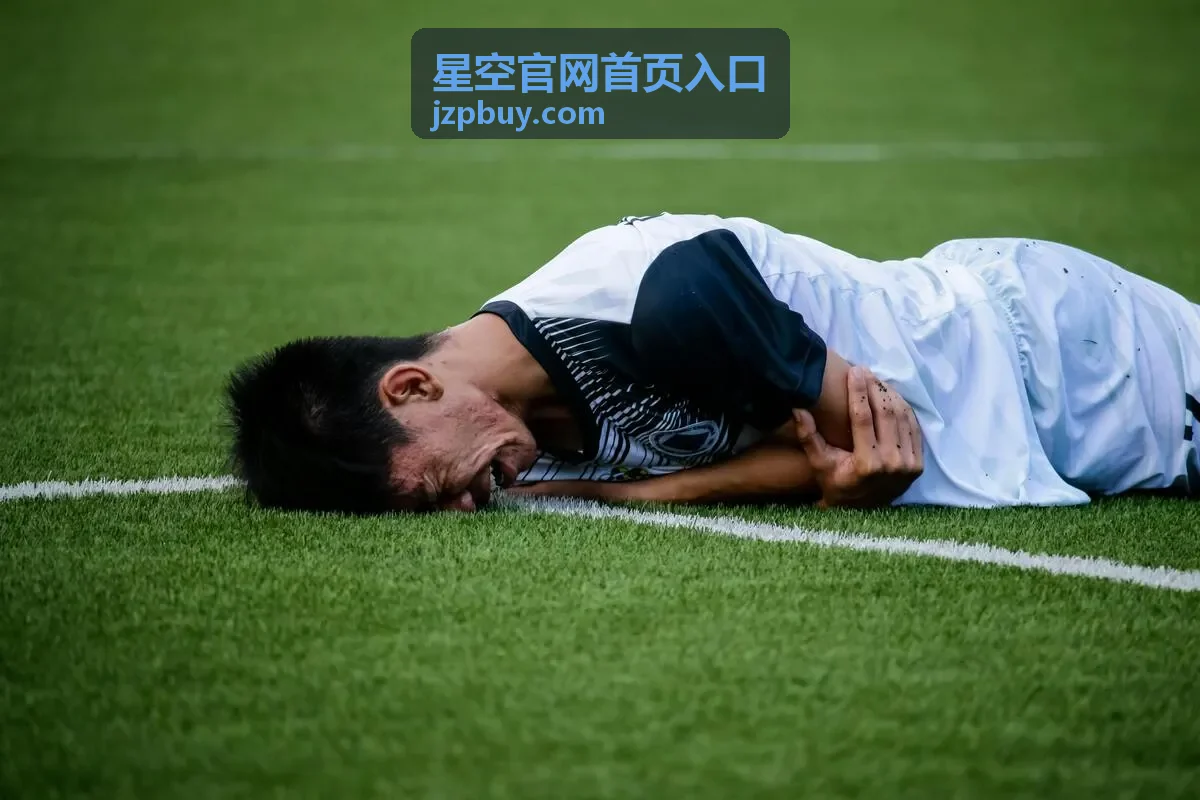 星空官网首页入口本期主题封面：星轨导航与夜间观测专题